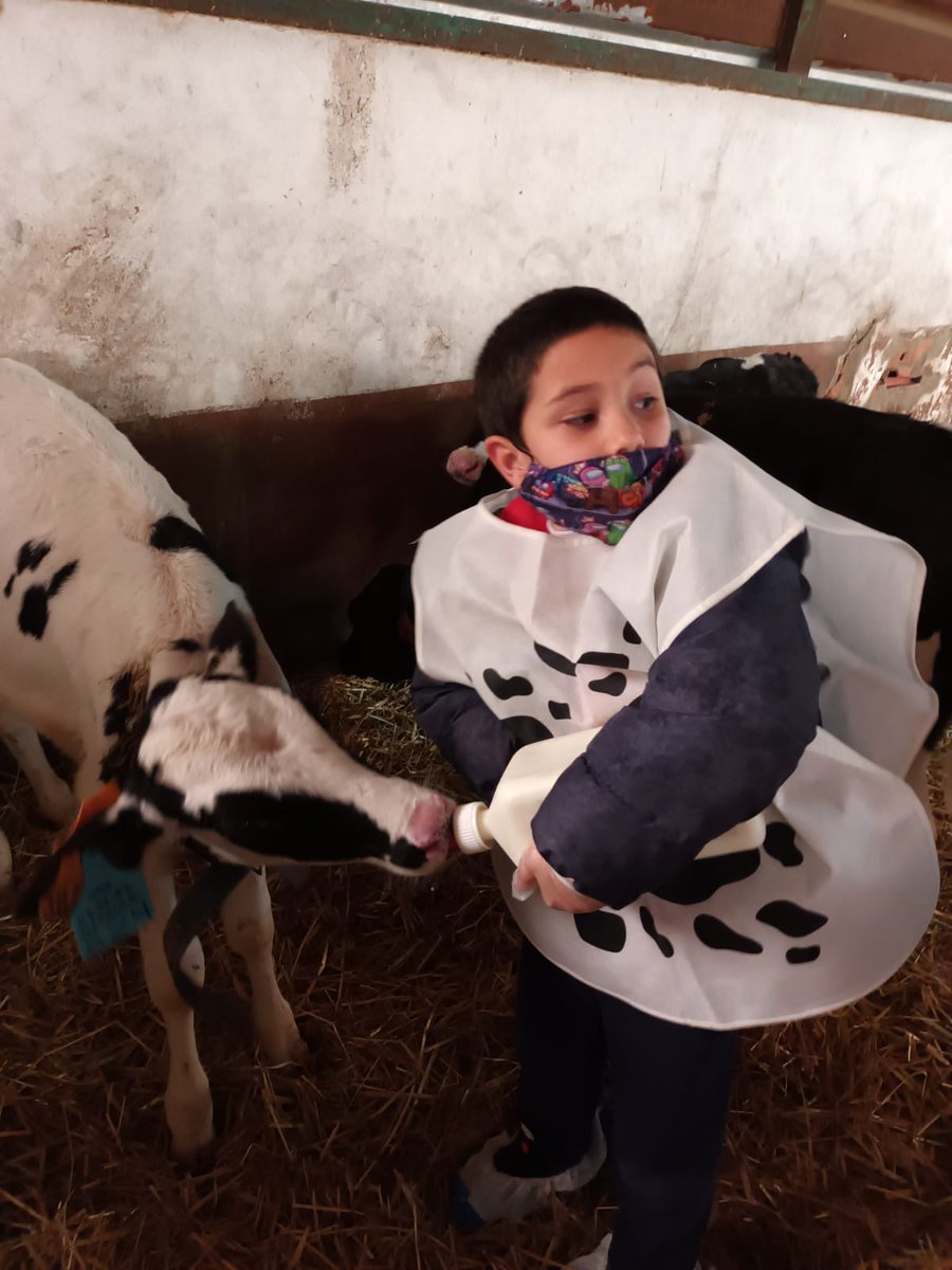 Granja Hermanos Miguel (@hnosmiguel) on Twitter photo 