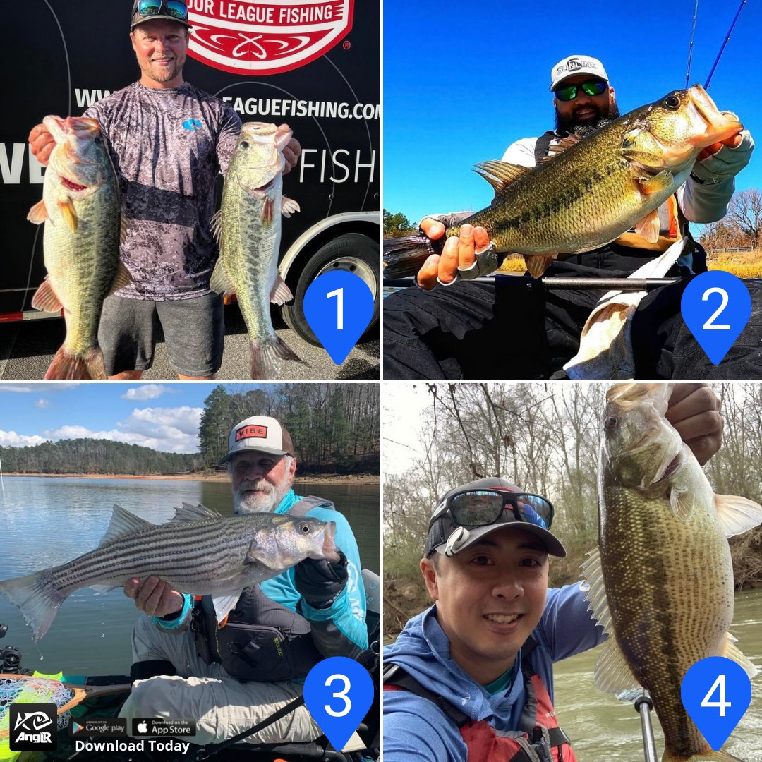 ANGLRfishingapp's tweet photo. Pick your favorite catch of the week in the comments below β¬οΈ
Want a chance to be featured? Tag us in your catches! π₯
#bass #liveforthewater #bassfishing #kayakfishing #largemouthbass #largemouth #fishing #anglrbullseye #anglrapp #fishingaddict #fishinglife #fishingislife https://t.co/tzhdyCb1Uo