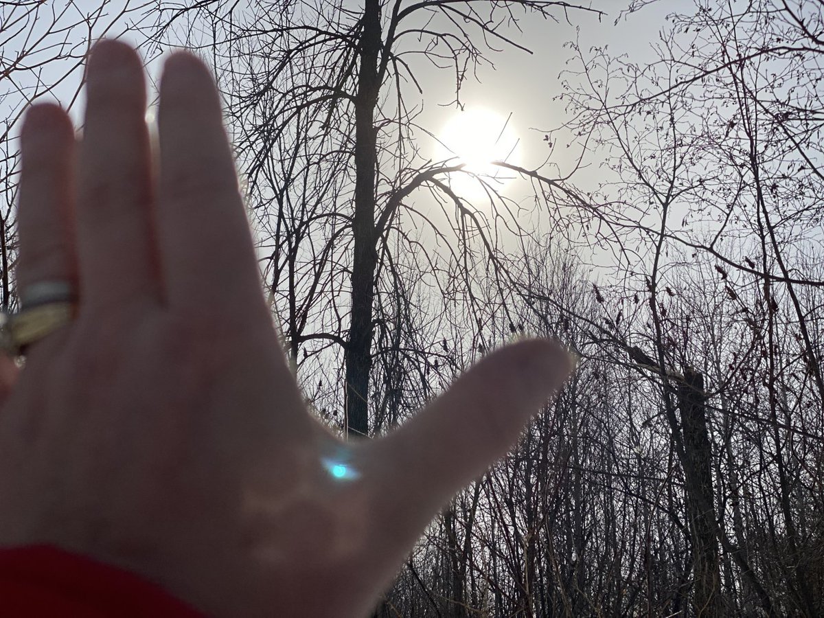 PieretteRaymond's tweet photo. On this morning's walk, I felt so drawn to the sun coming through the clouds. The weather was so warm and it felt good to be outside. I truly wanted to capture the sun's light and look back on how I felt. I think this shot does just that. Happy Spring-is-in-the-air to you! https://t.co/Yym6hmonbo