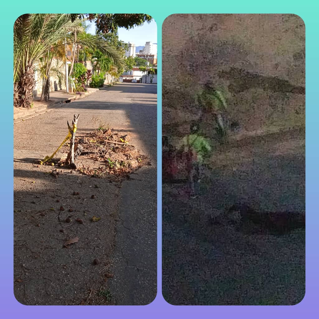 ccbosque1's tweet photo. Urb El Bosque Este, Valencia.  Esperando por asfaltado desde hace más de 7 meses, los huecos ya tienen más de 1 mt de profundidad, ayuda por favor quien tenga la competencia. @lacava10dracula @jcfuenmayor @alc_valencia @Hidrocentro2011 @invialca https://t.co/DIqXAhQRFv