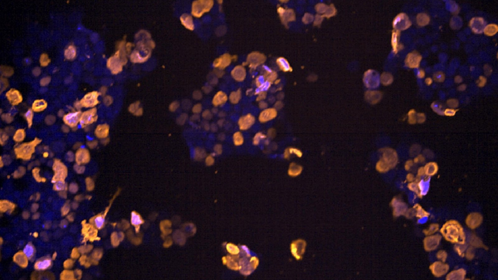 Mike Sleutel (MikeSleutel) / Twitter