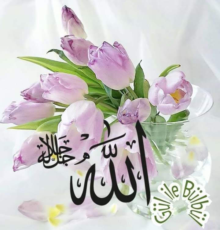 Rabbinize yalvara yalvara..Ve için için dua edin! Şüphesiz O, haddi aşanları sevmez! (A‘râf/55)