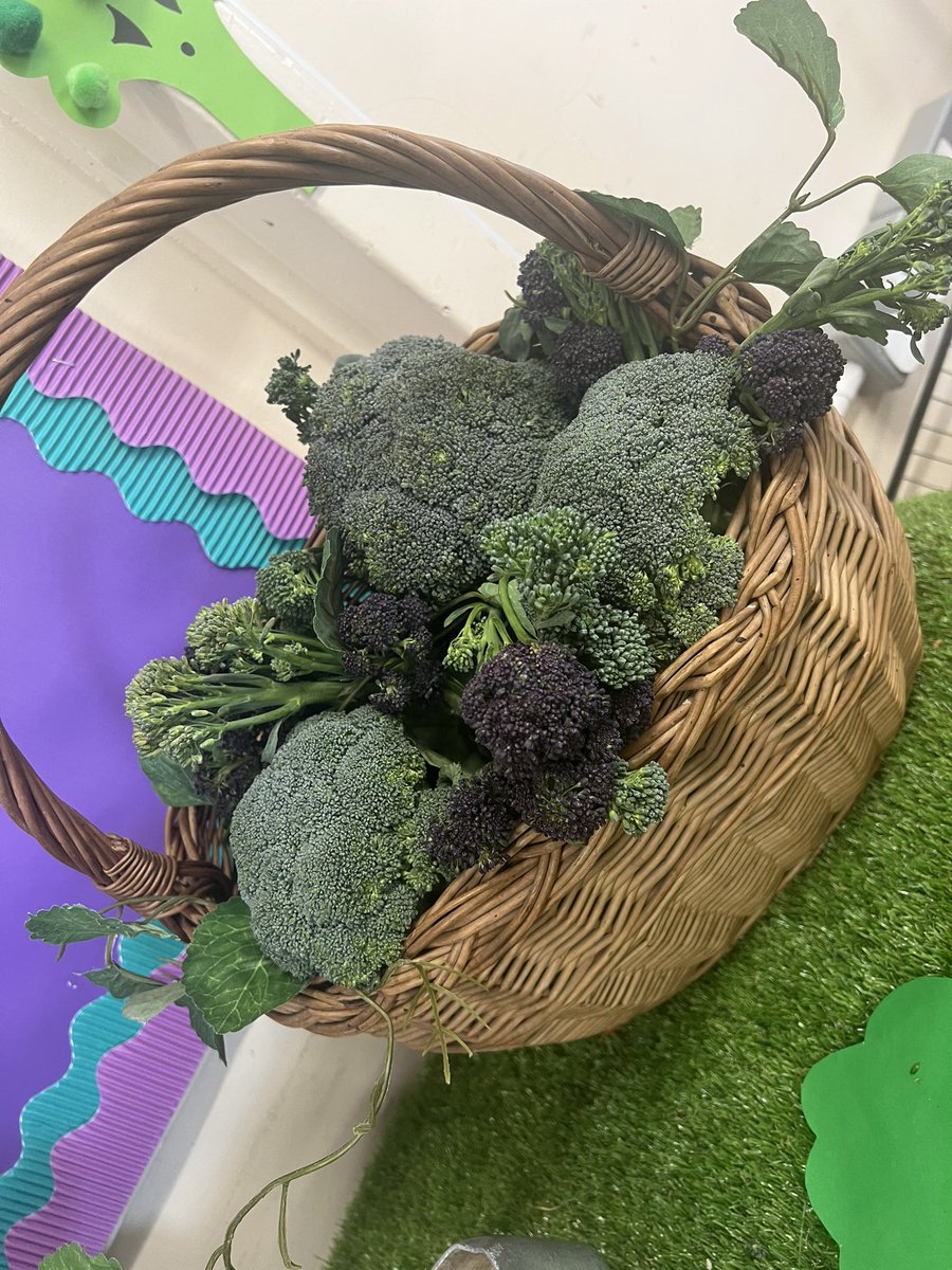 HollyJayC's tweet photo. Oh Broccoli @WoodlandsFormby is coming for you!! 👊🏻 @VegPowerUK https://t.co/MLy24uEq18