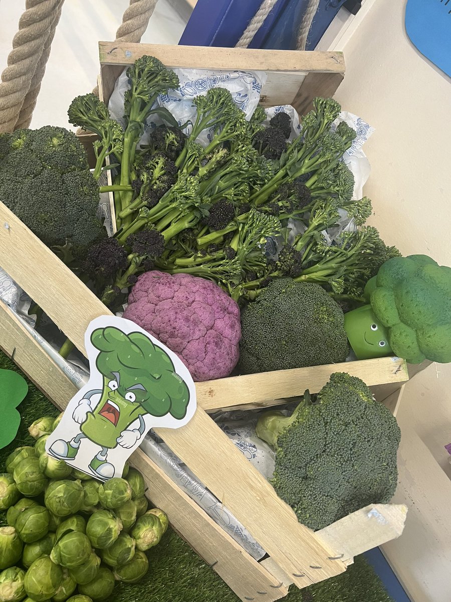 HollyJayC's tweet photo. Oh Broccoli @WoodlandsFormby is coming for you!! 👊🏻 @VegPowerUK https://t.co/MLy24uEq18