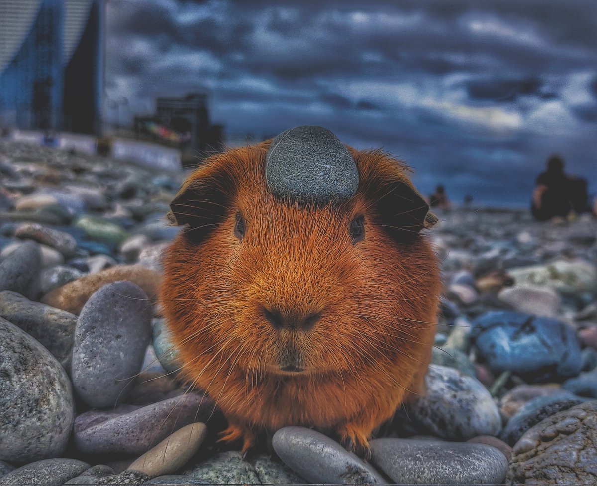 ARSEBA (@0arseba0) on Twitter photo 