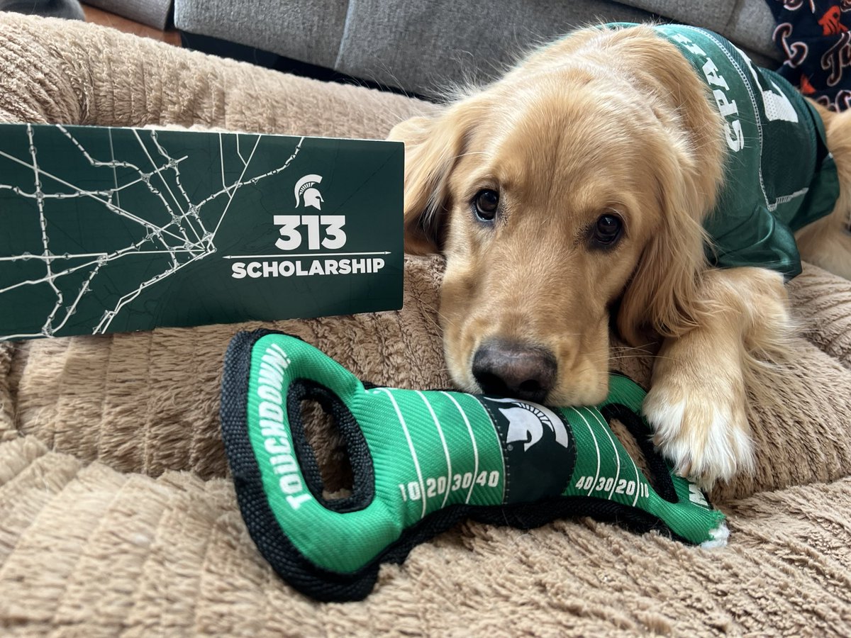 NikkiNoel_'s tweet photo. Spartan Baby Challenge! Molson is asking very nicely to win the extra $500 for the #313Scholarship! @msualumni @DetroitSpartans #GiveGreenDay #GGDPhoto @DetroitSpartans https://t.co/XuEZeipeqX