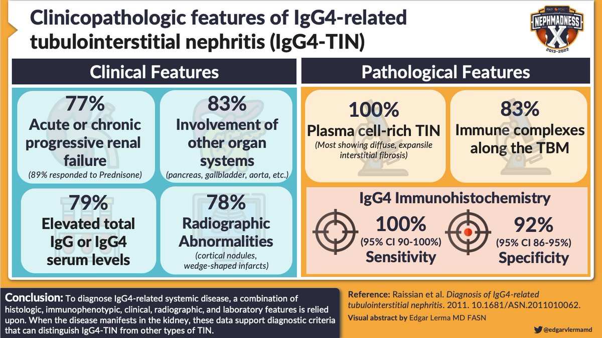 NephJC's tweet photo. Immunoglobulin G4 (#IgG4)-related disease is a true chameleon with multisystem involvement.
Most common manifestation of IgG4-related disease in the kidneys is tubulointerstitial nephritis #TIN.
#NephJC #NephMadness @edgarvlermamd https://t.co/14uGaQYkBa