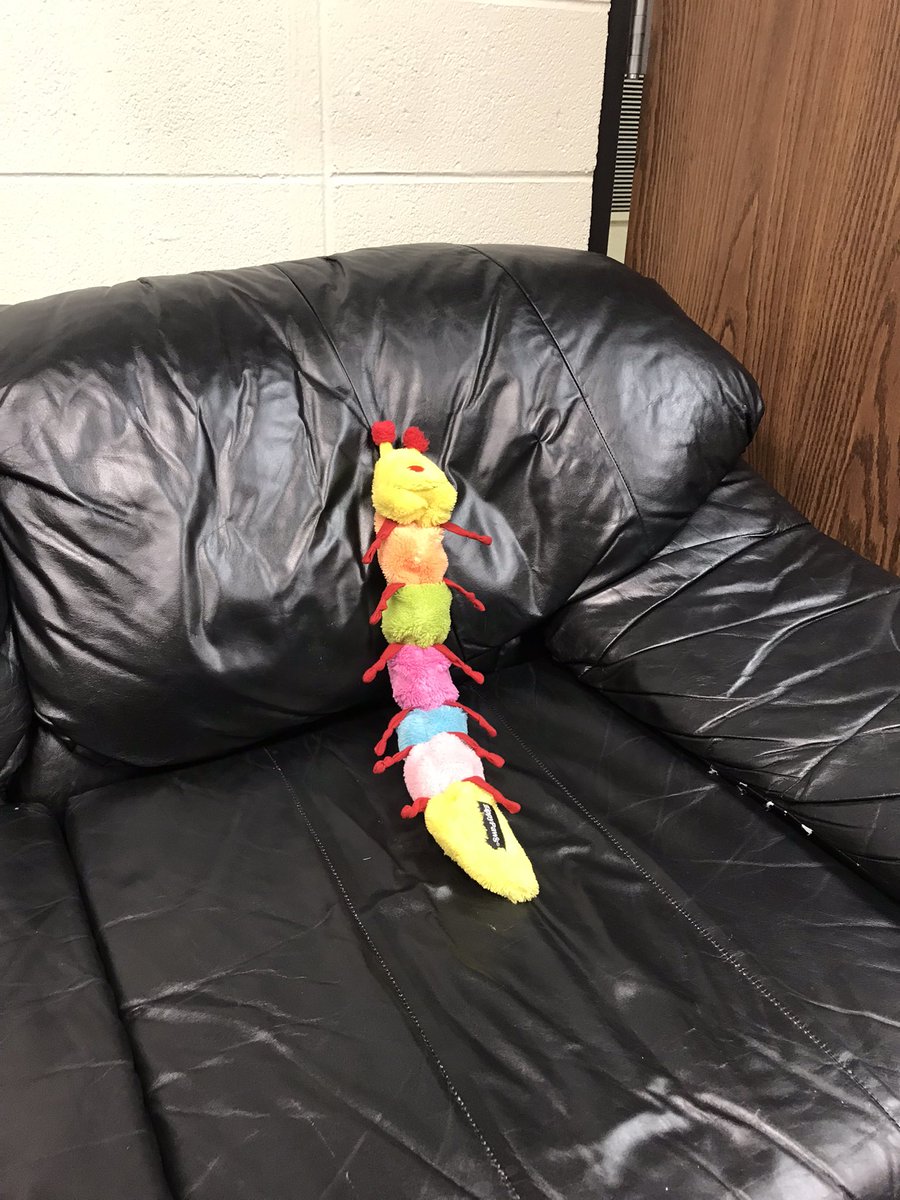 BG PE/Health Staff tweet media