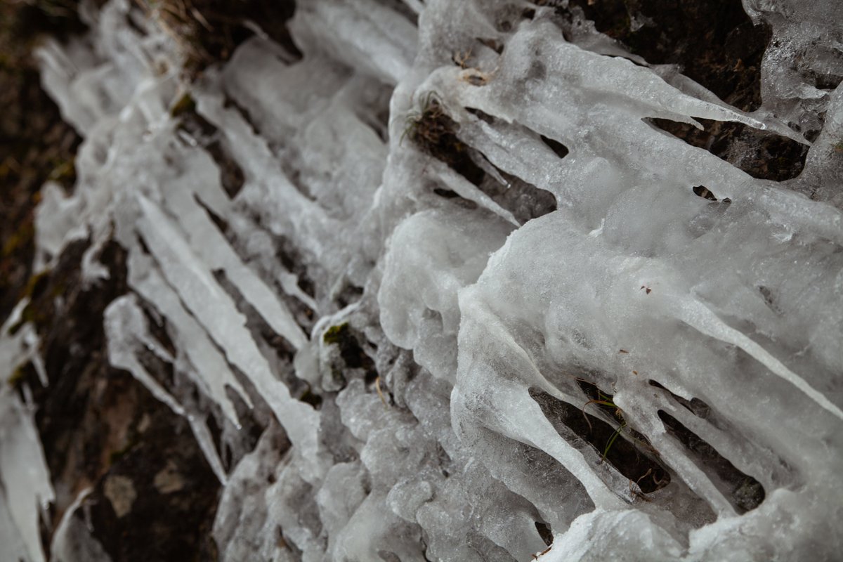 SquareSeagullz's tweet photo. More winter is here! A new collection with nature photos will start at the end of the week on Polygon. Enjoy and become calmer and happier.

#nftart #NFTartist #NFTfamily #nftphotography https://t.co/GIefqqDAFr