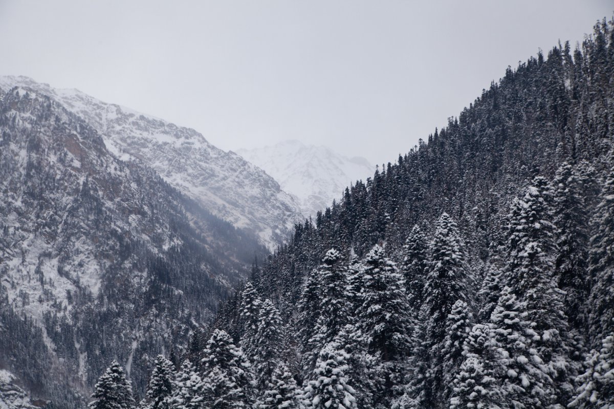 SquareSeagullz's tweet photo. More winter is here! A new collection with nature photos will start at the end of the week on Polygon. Enjoy and become calmer and happier.

#nftart #NFTartist #NFTfamily #nftphotography https://t.co/GIefqqDAFr