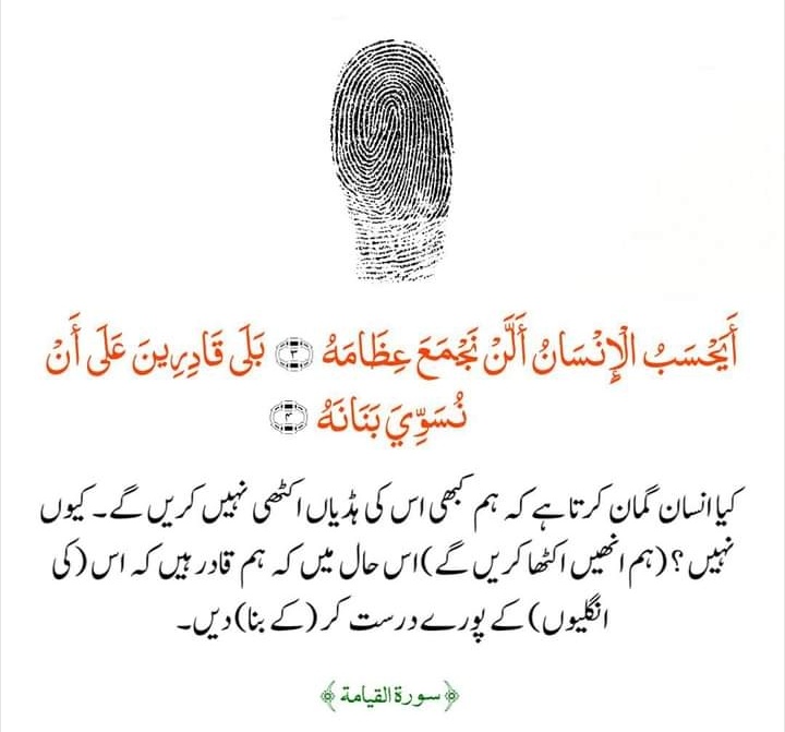 ImranAliENGINE1's tweet photo. INDEED ✨ https://t.co/d8QkAFQ8QQ