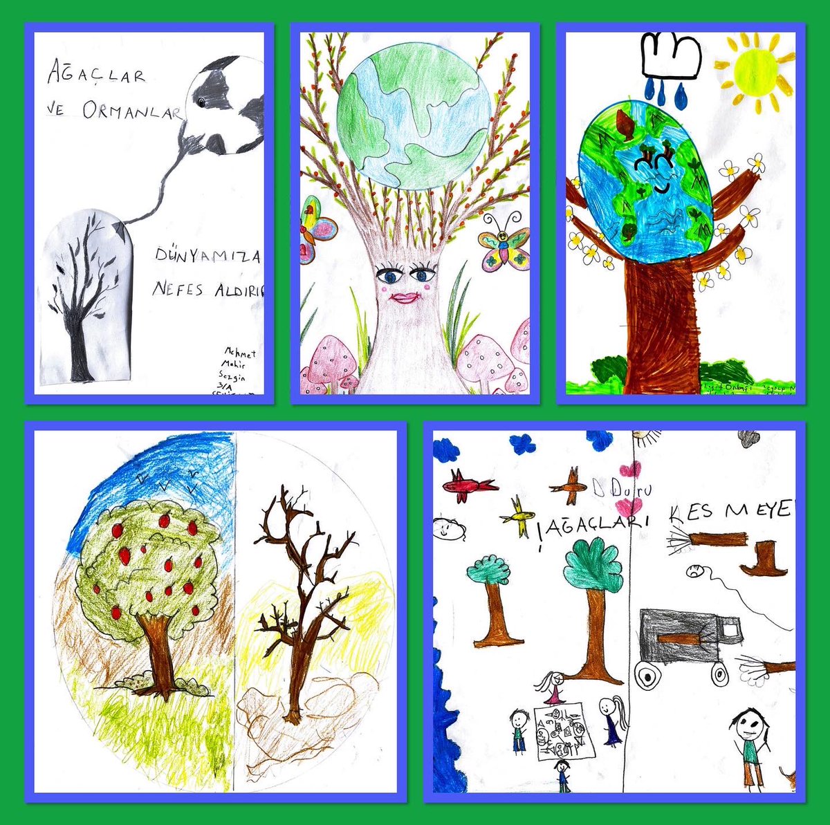 fairytaletrees's tweet photo. Ebru H/ Dilek O ( 3/A ) Seyit Onbasi Primary School/ We drew the pictures about the importance of the tree and forest for us🌳🌳🌳🌳 https://t.co/xyLWh2hrnT