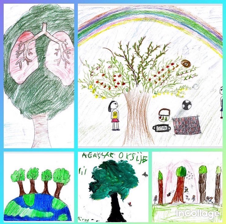 fairytaletrees's tweet photo. Ebru H/ Dilek O ( 3/A ) Seyit Onbasi Primary School/ We drew the pictures about the importance of the tree and forest for us🌳🌳🌳🌳 https://t.co/xyLWh2hrnT