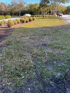 TurfSolv (@turfsolv) on Twitter photo TurfSolv at Joan Durante Park on Longboat Key, FL. Feb 16th vs March 15th! Non-toxic, safe for the patrons and their pets and the wildlife! <a href="/TownofLBK/">Town of Longboat Key</a> Nice job Tony! TurfSolv at Joan Durante Park on Longboat Key, FL. Feb 16th vs March 15th! Non-toxic, safe for the patrons and their pets and the wildlife! <a href="/TownofLBK/">Town of Longboat Key</a> Nice job Tony!