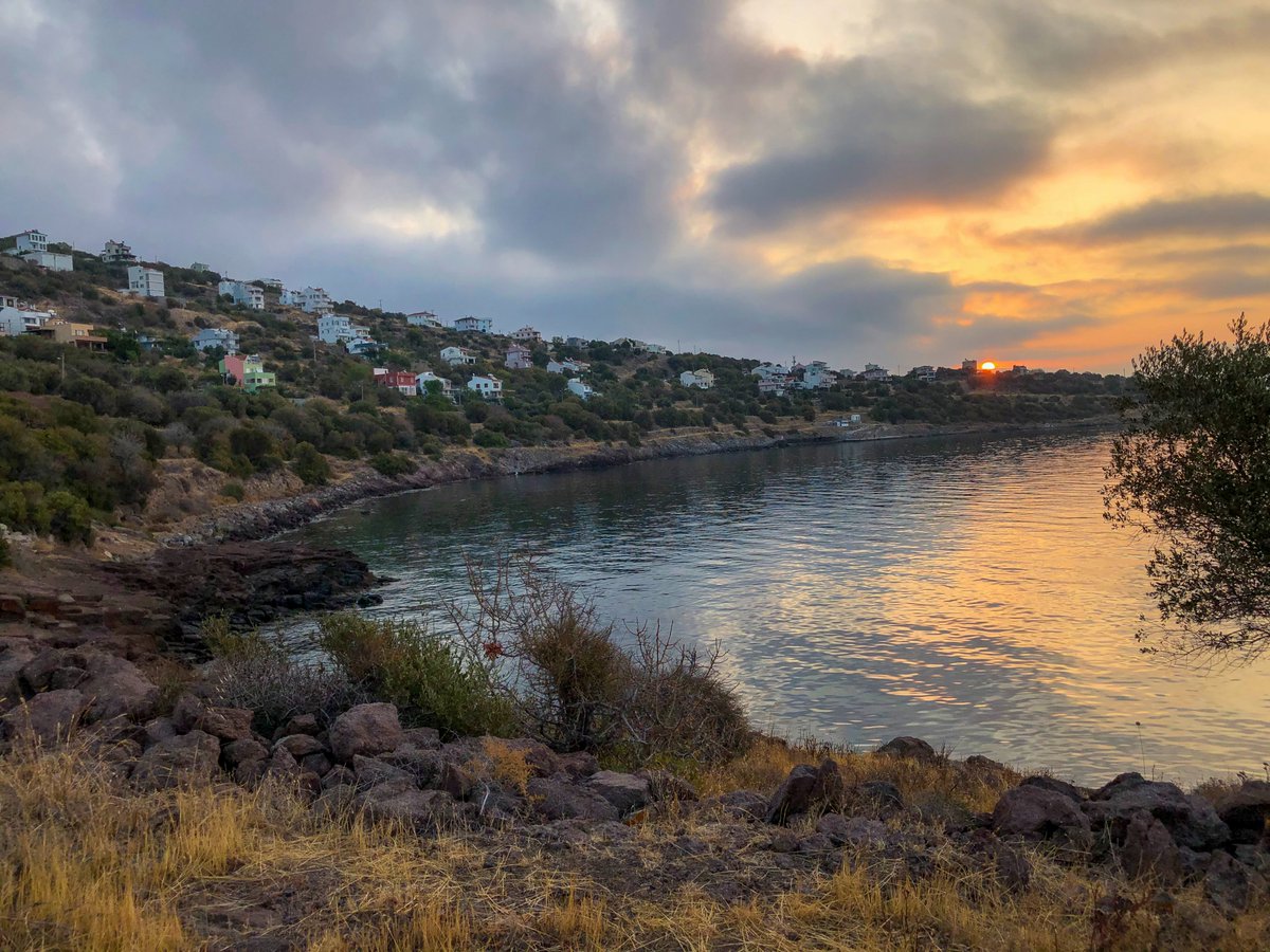 momentCatchers.eth tweet media