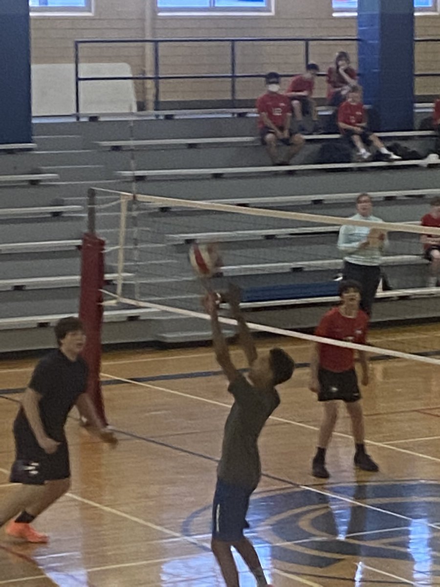 Patrick Sandle tweet media