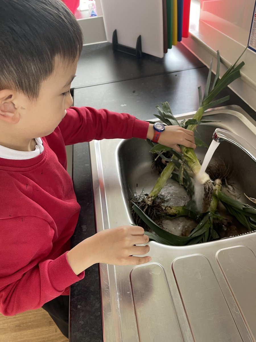 KitchenTeaching's tweet image. They gave them a good wash and some of the leeks were used later by the children in cooking club.