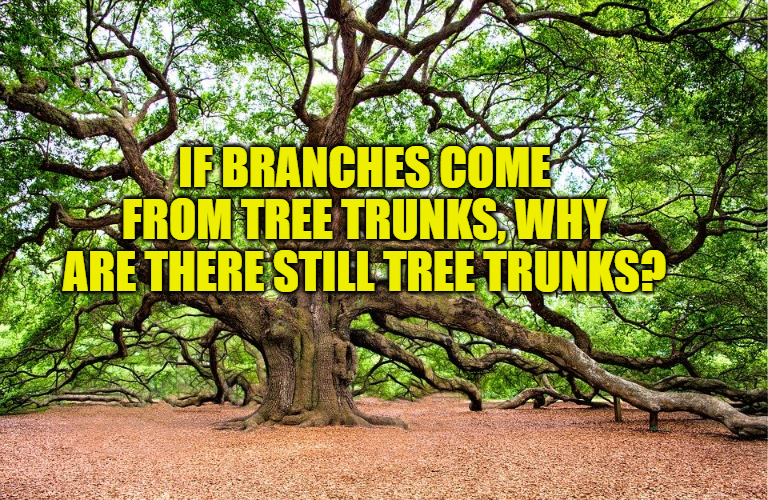 TheChrisenator's tweet image. @michaelshermer How I respond to the Herschel Walkers of the world.  😀 #EvolutionIsaFact