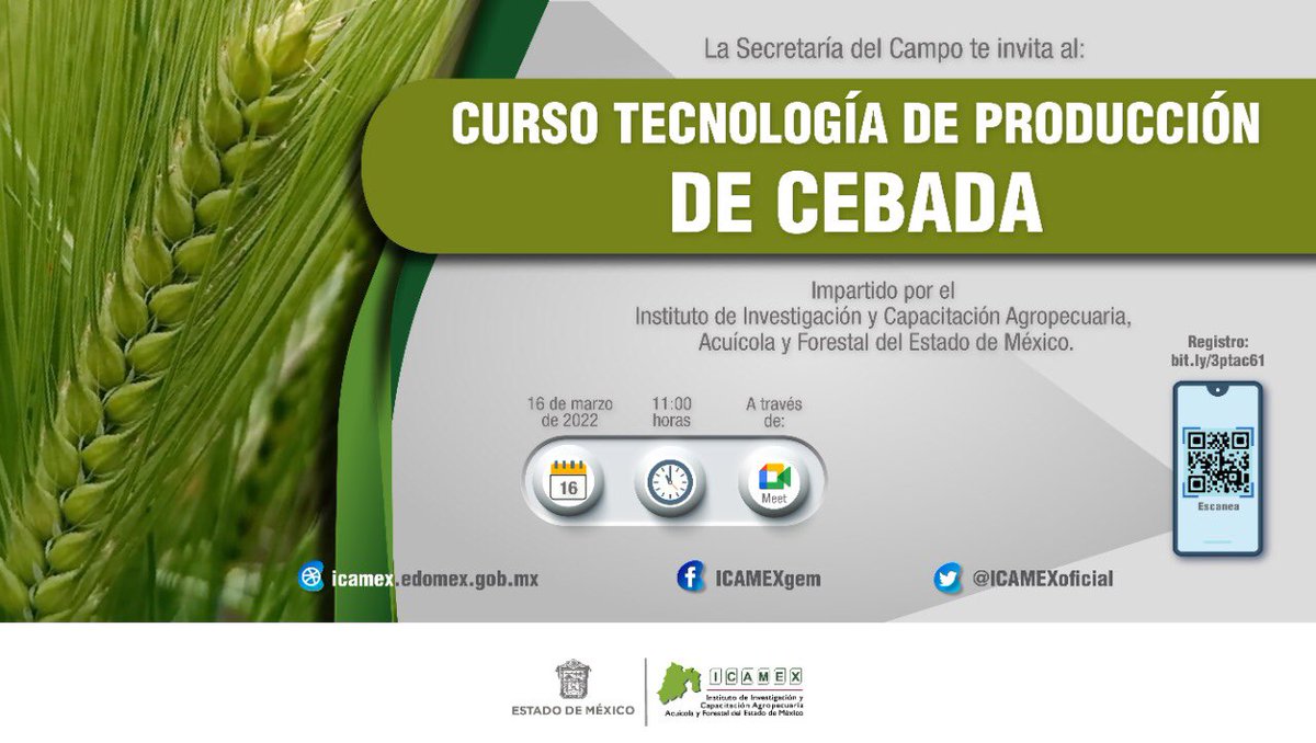 ICAMEXoficial's tweet photo. #CursoIcamex 👩🏻‍💻🧑🏾‍💻 | La #SecretaríaDelCampo a través del #ICAMEX, te invita a participar en el curso Tecnología de Producción de #Cebada. Se llevará a cabo el proxímo 16 de marzo, a partir de las 11:00 horas, registrate en: https://t.co/TTMCt7XAvu. https://t.co/41C4E9qBOP