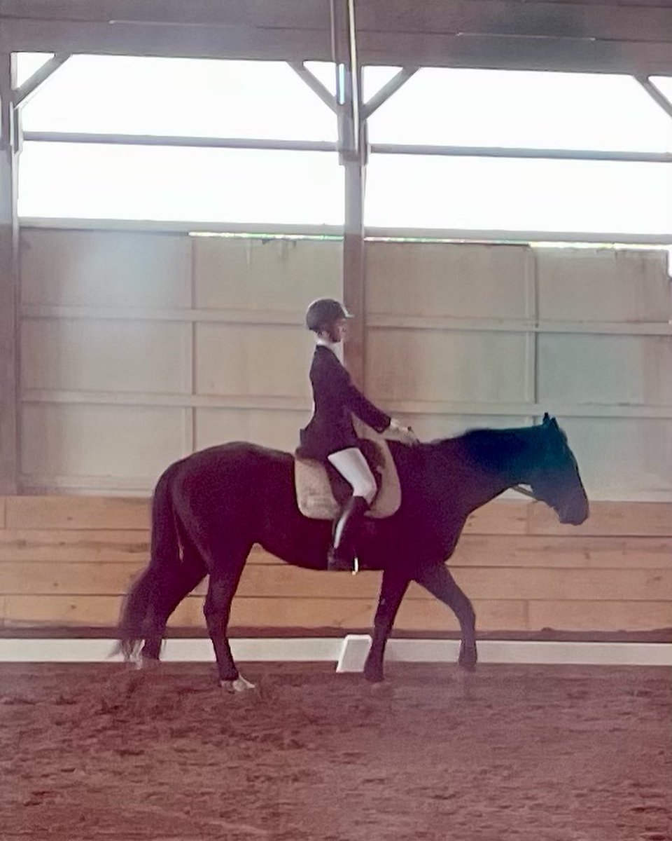 sdonnellcline's tweet photo. Back to Back Dressage Nationals… #RIDEIEA … see you in April Pennsylvania
Good work, @ClineRhi https://t.co/waGwtAJ3jR