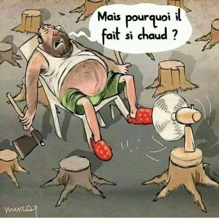 BofolaJr's tweet photo. La naturelle peut vivre sans l'homme. Mais le contraire n'est pas possible.
Ça chauffe!
Conclusion : avec l'autodestruction, l'homme est responsable de son son propre malheur.
#réchauffement climatique
#Evitons la déforestation
#Sauvons nos forêts pour le bien de l'humanité https://t.co/xN9oqn3gVd