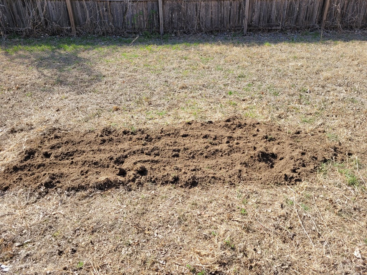TheSolarDee's tweet photo. Tilling soil is fucking hard
My arms are all tingly lol https://t.co/L0prrVkC1w
