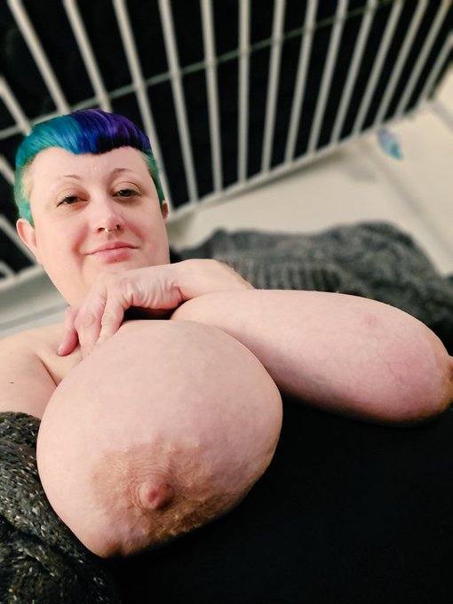 Mind if I put these here for #tittytuesday? Hehe 😊😊   #bbwtits #bigtitsforlife #BigTitsDay #BigTitsDrop<a href="/tag/tittytuesday"class="tags">#tittytuesday</a><a href="/tag/naturalcurves"class="tags"><span>#naturalcurves</span></a><a href="/tag/alternativemodel"class="tags"><span>#alternativemodel</span></a><a href="/tag/prettyeyes"class="tags"><span>#prettyeyes</span></a><a href="/tag/alternativegirls"class="tags"><span>#alternativegirls</span></a>