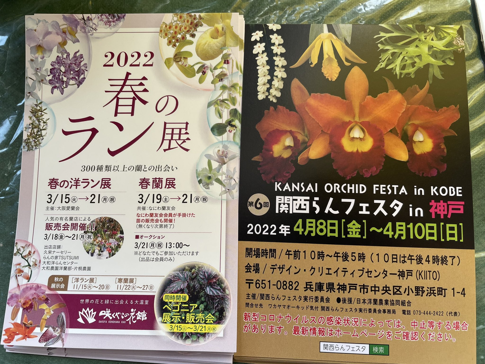 片桐農園 3月18日 21日の間 咲くやこの花館の春の洋ラン展に出店いたします 4月の関西らんフェスタ神戸も開催予定です 咲くやこの花館 春の洋ラン展 T Co Qslcqfhmxm Twitter