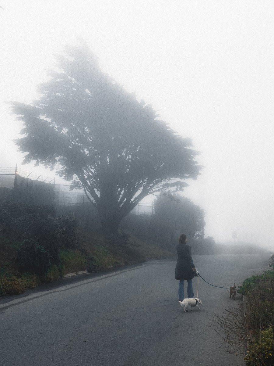 With friends into the beyond.