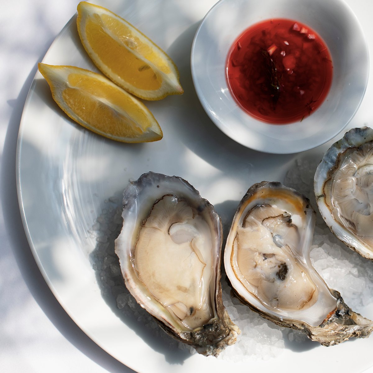 NostosMx's tweet photo. Ostiones frescos, disponibles por temporada. 

Estiatorio Nostos, one of a kind ✨
Reserva por Whatsapp: 55 8438 1350

#nostosmx #freshfisheveryday #seafood https://t.co/bRDGfztfa6