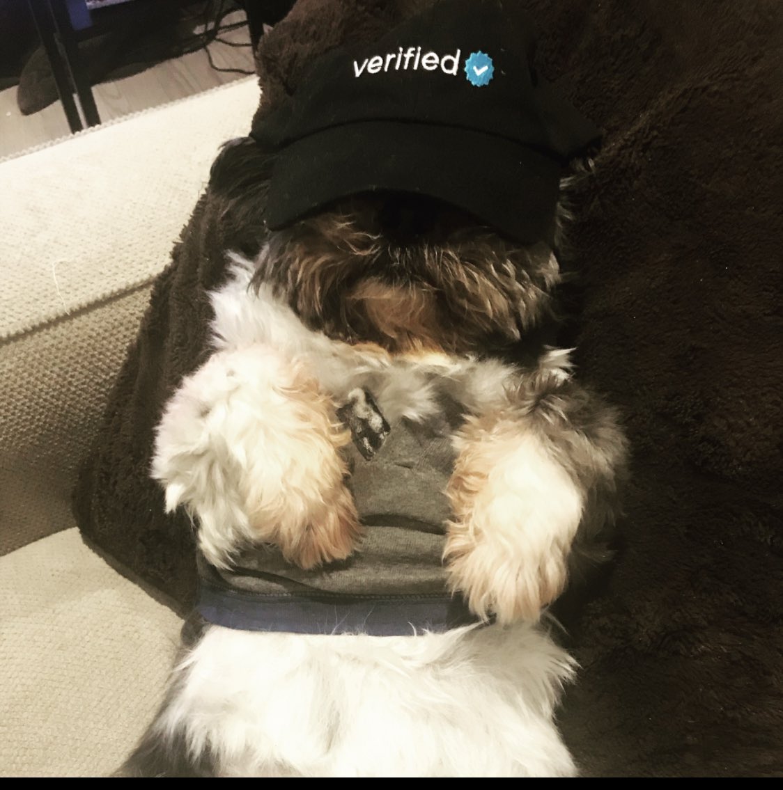 Onlyfans Growth (growing_only) Twitter