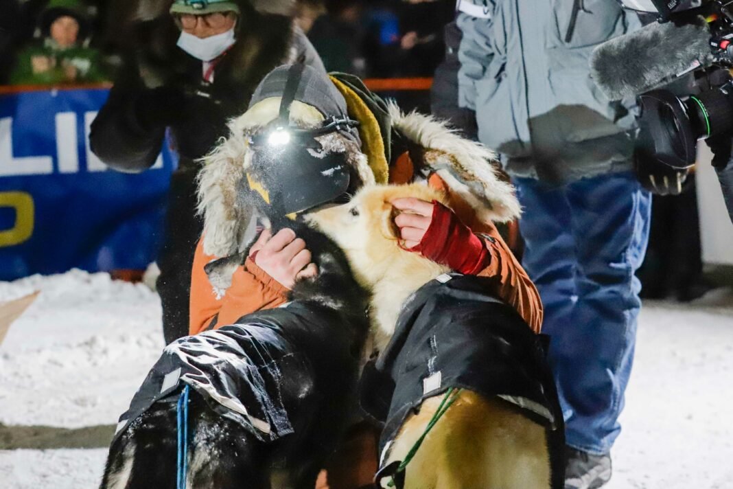 SledDogADay's tweet photo. Slater and Morello from Brent Sass's Wild and Free Mushing are the Sled Dogs of the Day! These two rockstars pulled Brent in to Nome early this morning to a first place finish in this year's Iditarod. Congratulations to Brent, Morello, Slater, and the whole team! https://t.co/3W7NHKABxH