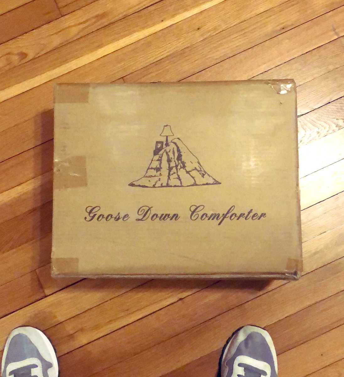 Scott Matson tweet media