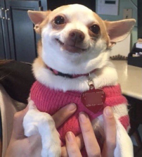 #thebachelor 

“It’s not Gabby.         
And it’s not                    “It’s Gabby
Rachel.”                         AND Rachel.”