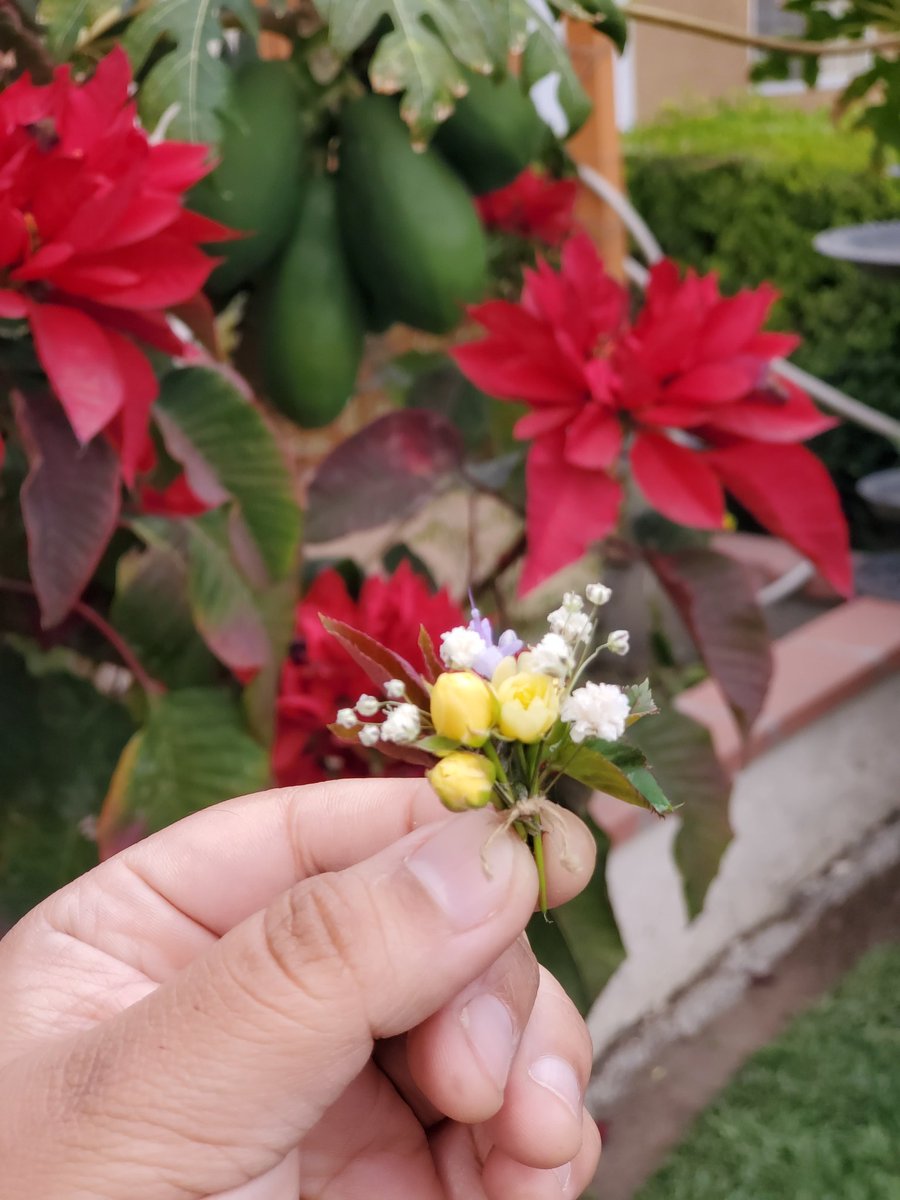 1500rosa's tweet photo. Tiny bouquet 😌 https://t.co/uxGn18rsMr
