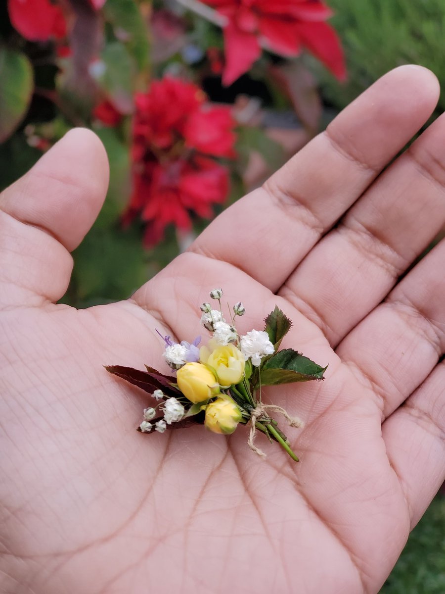 1500rosa's tweet photo. Tiny bouquet 😌 https://t.co/uxGn18rsMr