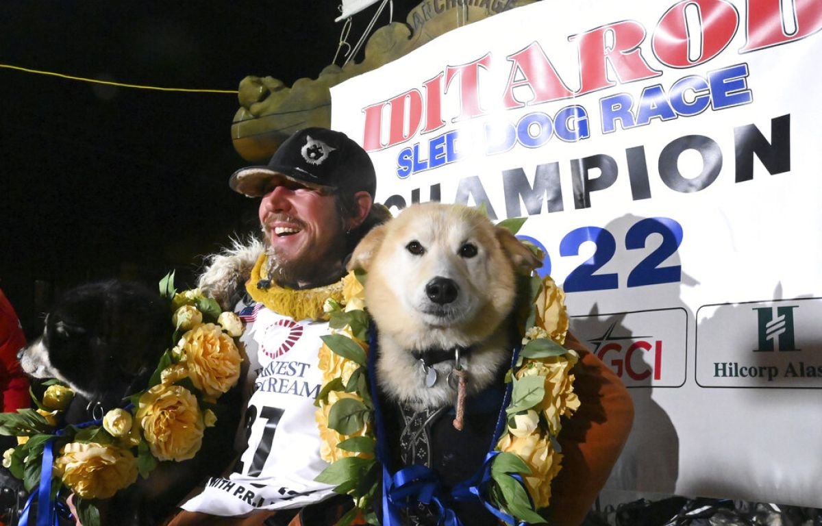 SledDogADay's tweet photo. Slater and Morello from Brent Sass's Wild and Free Mushing are the Sled Dogs of the Day! These two rockstars pulled Brent in to Nome early this morning to a first place finish in this year's Iditarod. Congratulations to Brent, Morello, Slater, and the whole team! https://t.co/3W7NHKABxH