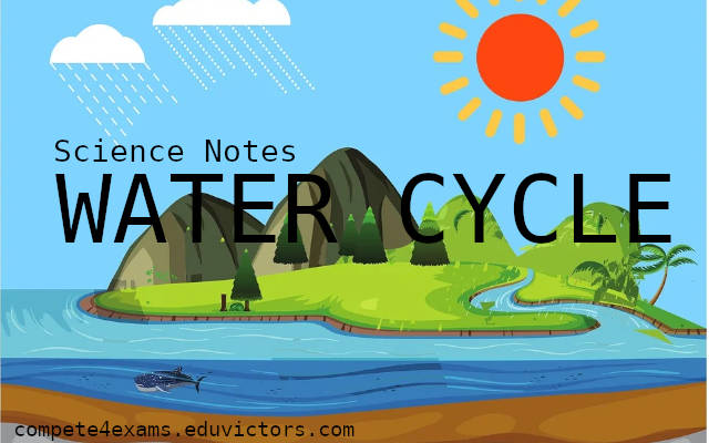 eduvictors2011's tweet image. What is Water Cycle? 
#sciencenotes #compete4exams #eduvictors

compete4exams.eduvictors.com/2022/03/what-i…