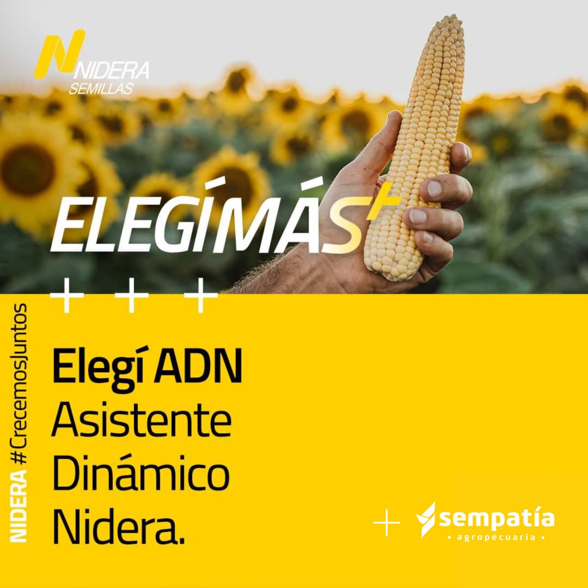 🌽PRE CAMPAÑA MAÍZ
+ Motivos para elegirnos 
#Nidera #Maíz #SMV #SempatíaAgropecuaria
<a href="/NideraSemillas/">Nidera Semillas</a> 
<a href="/MauricioJuan77/">Mauricio Juan</a> <a href="/GuilleFLL/">Guille F Ll</a>