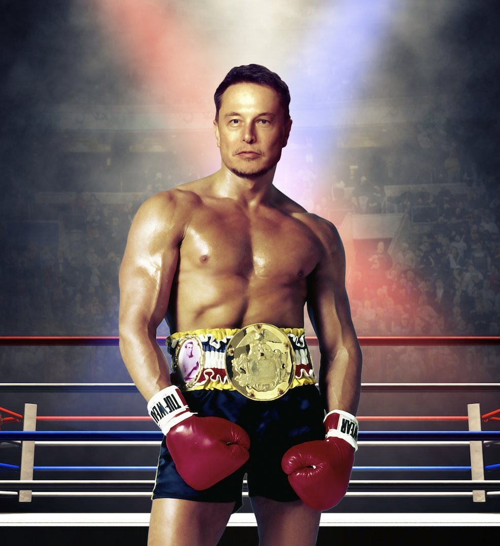 .<a href="/elonmusk/">Elon Musk</a> the champ
📸<a href="/wyldeAF/">Shawn Wylde ⚡️</a>