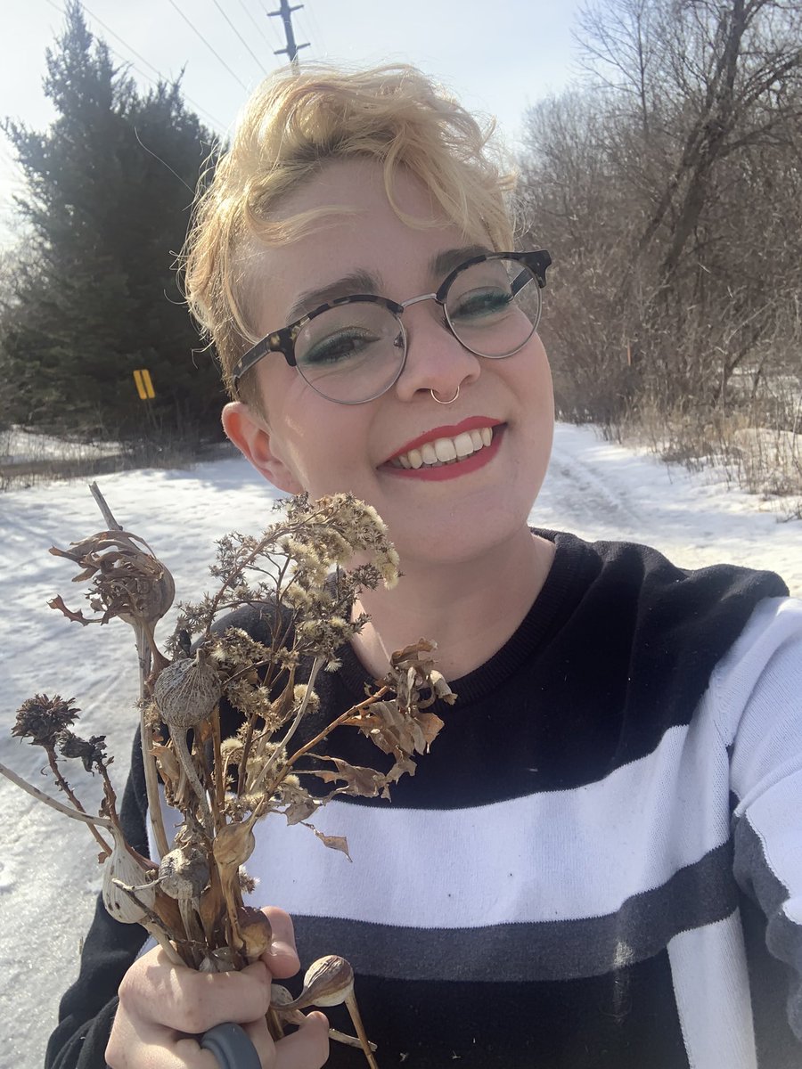 bloeksjohnson's tweet photo. Harkening back to my research roots for a women in STEM showcase in #Glencoe with an interactive display on gall forming flies! #flieslikeasolidago https://t.co/zOb07FRHmG