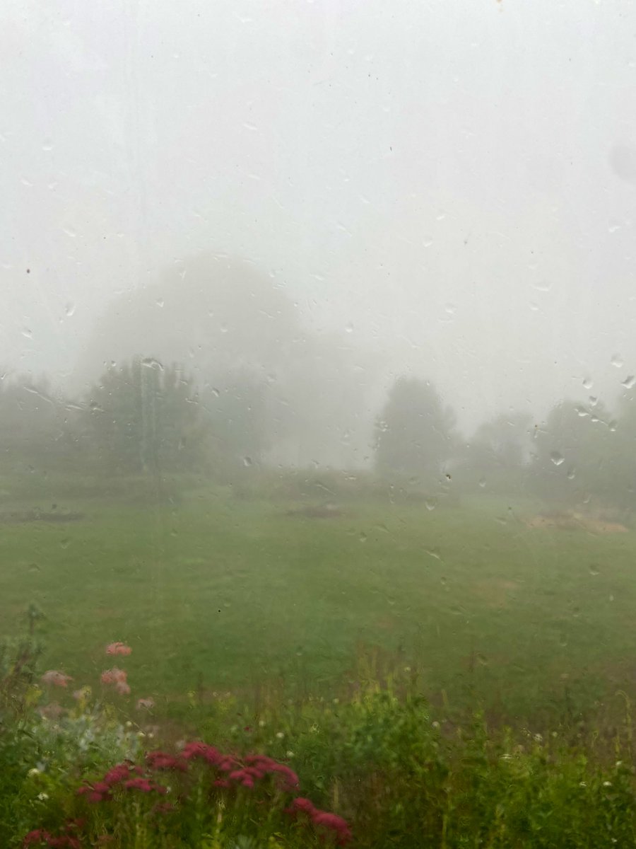 JaneLazar's tweet photo. @SciNate Waking up in the clouds this morning at 750m altitude https://t.co/RuLjINqojI