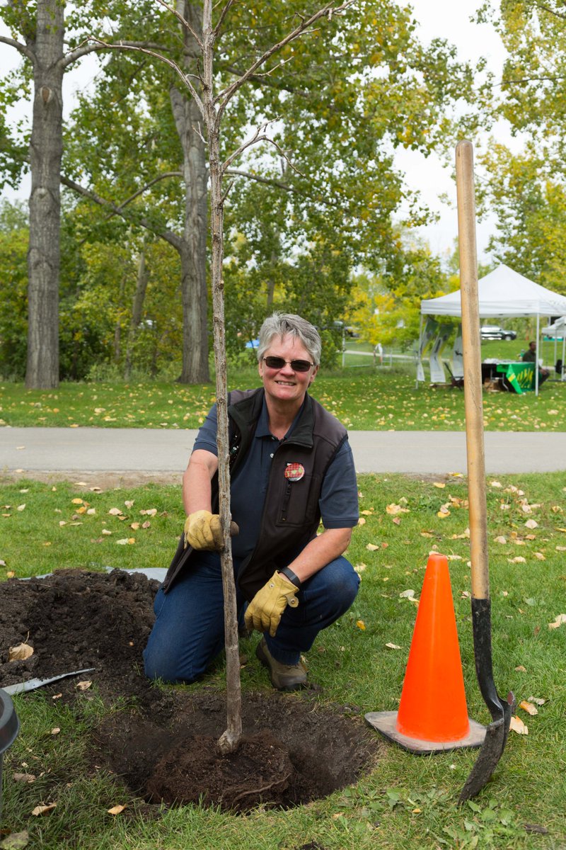 #FunFactFriday: Did you know we planted 5,500 trees last year, plus another 500 trees were given out to Calgarians to plant on private land?

Urban trees clean our air, cool our streets, give homes and food to wildlife, &amp; make our city beautiful. Spring, we are ready for you! 🌱