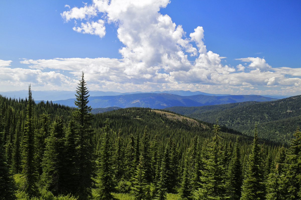 Forest Service NW tweet media