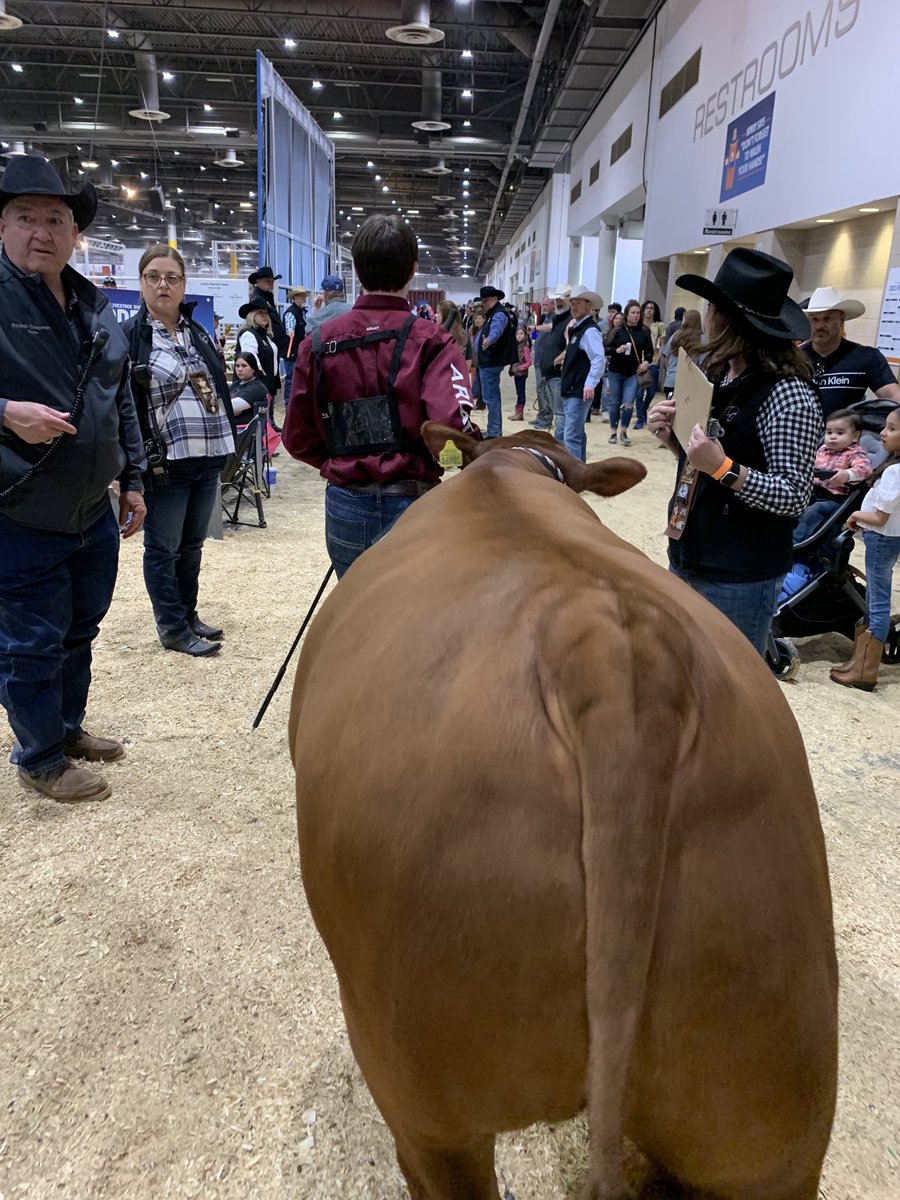 Good luck to Ethan and “Short Rib” today at the HLSR Scramble Show and the market steer show on Thursday! ⁦<a href="/ffa_summercreek/">SCHS FFA</a>⁩ ⁦<a href="/HumbleISD_SCHS/">Summer Creek High</a>⁩