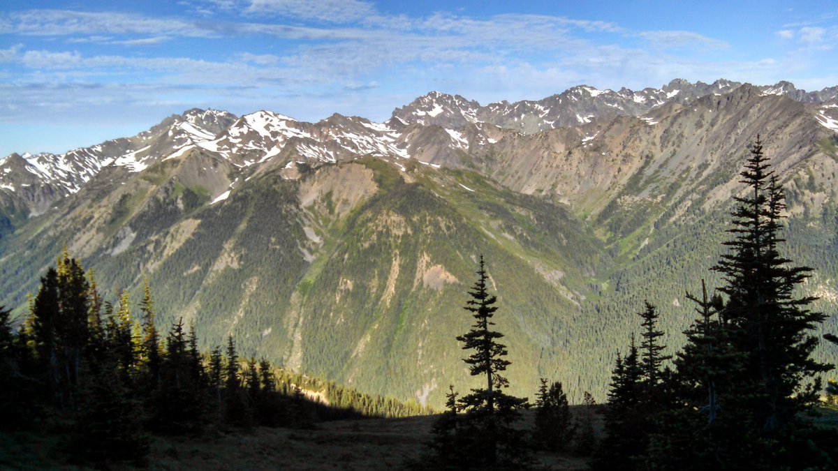 Forest Service NW tweet media