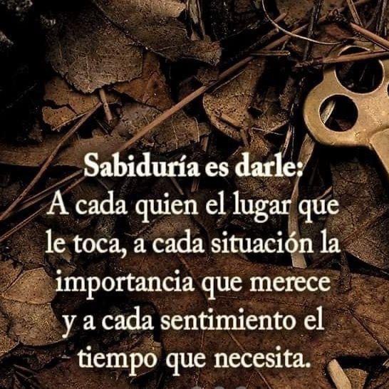 PauloCoelhoDice's tweet photo. https://t.co/blyTzGzF4m