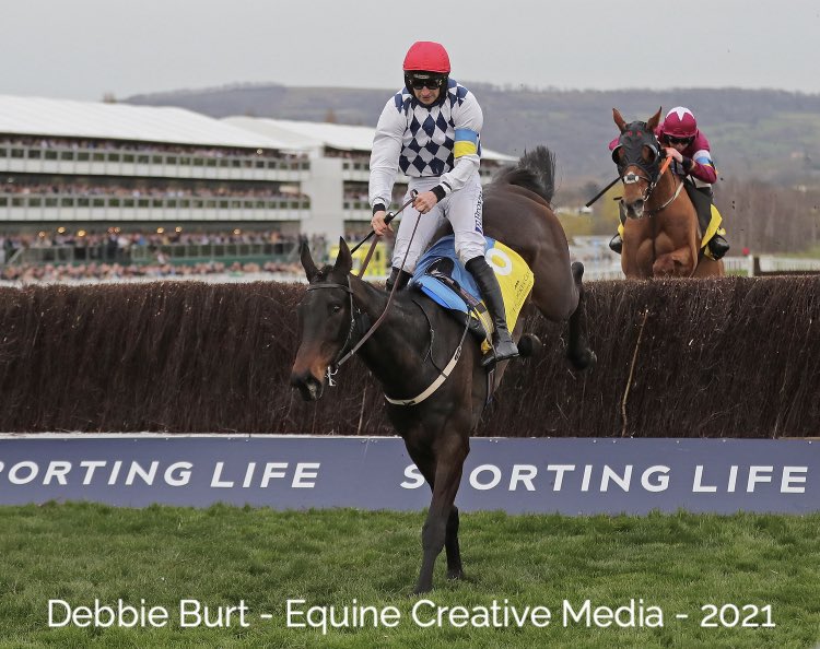 deborahburt1's tweet photo. STATTLER 🇮🇪 (Stowaway) #patrickmullins @WillieMullinsNH #winners 🇺🇦 🕊#ukraineappeal #nhchase @amajox @GoffsUK @IREthoroughbred 📸 for @InterThorough https://t.co/qLXTtoWUb7