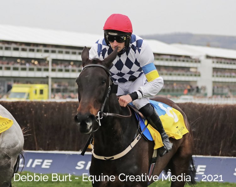 deborahburt1's tweet photo. STATTLER 🇮🇪 (Stowaway) #patrickmullins @WillieMullinsNH #winners 🇺🇦 🕊#ukraineappeal #nhchase @amajox @GoffsUK @IREthoroughbred 📸 for @InterThorough https://t.co/qLXTtoWUb7