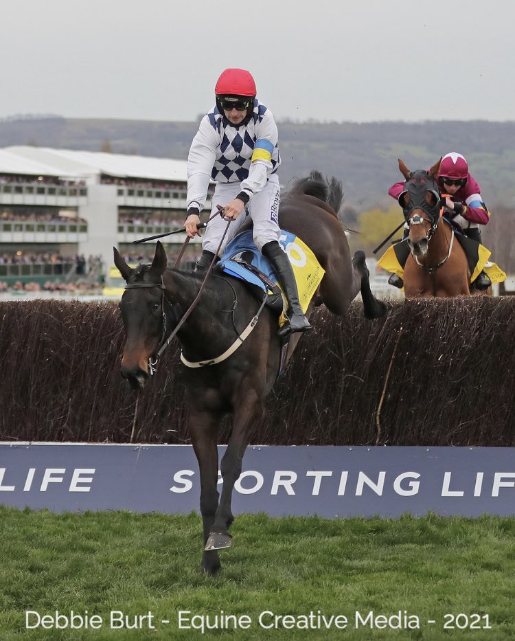 deborahburt1's tweet photo. STATTLER 🇮🇪 (Stowaway) #patrickmullins @WillieMullinsNH #winners 🇺🇦 🕊#ukraineappeal #nhchase @amajox @GoffsUK @IREthoroughbred 📸 for @InterThorough https://t.co/qLXTtoWUb7